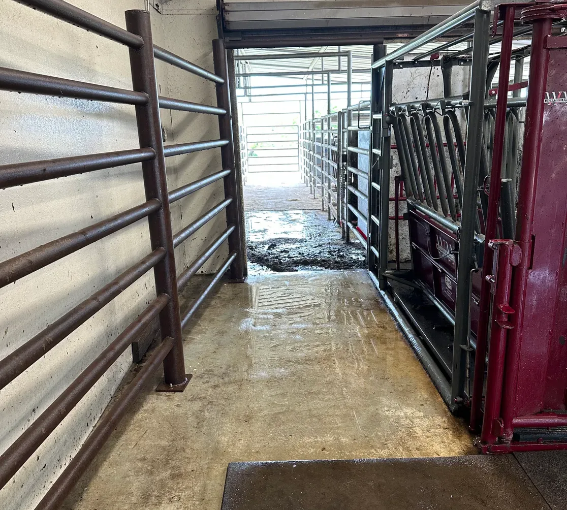 Vet Clinic Cattle Chute — Wash-Out — After