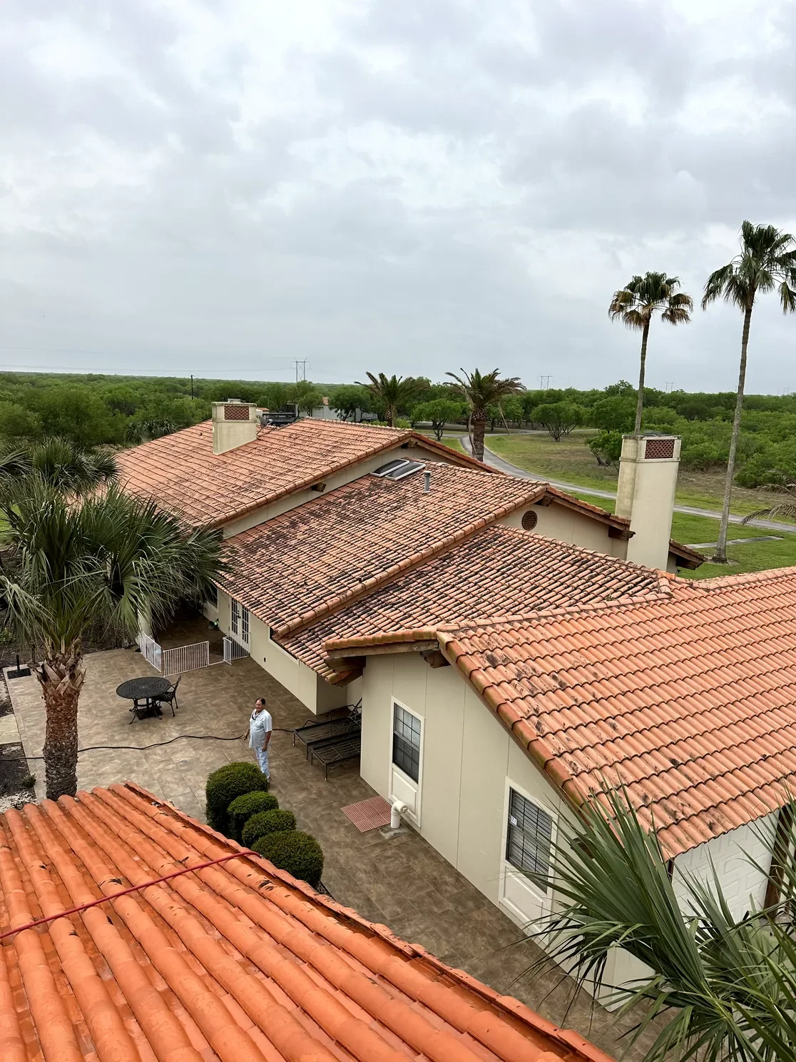 Roof Cleaning